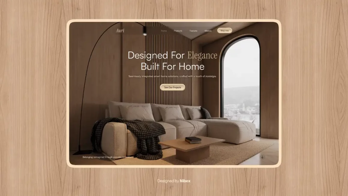 Web Design Agency